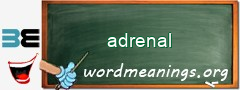 WordMeaning blackboard for adrenal